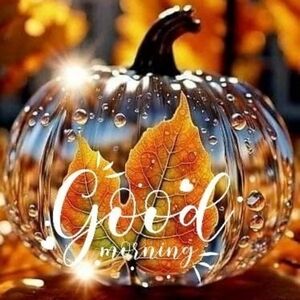 Meet your Posher, Tienn